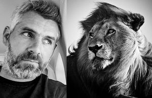 10 монохромных фотографий африканских львов в дикой природе, на которых они брутальные супергерои