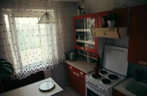 Пара из Вильнюса оборудовала свою квартиру в духе СССР после сериала «Чернобыль»
