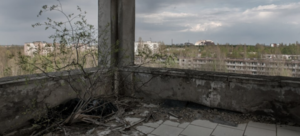 «Здесь давно уже идет жизнь. Как я живу в Чернобыльской зоне на пять тысяч рублей»