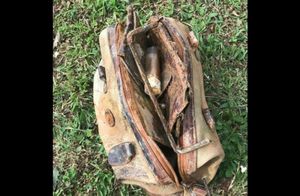 Видео: Рыбак выловил сумку, которая пропала 28 лет назад, а содержимое сохранилось