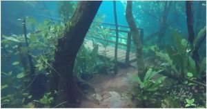 Лес ушел под воду и превратился в невероятный подводный мир