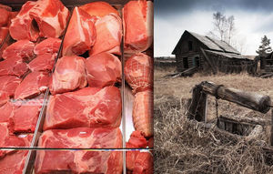 О причинах мясного "изобилия" в стране при полуразрушенном сельском хозяйстве