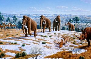5 существ, живших тысячелетия назад: что сберегла вечная мерзлота России