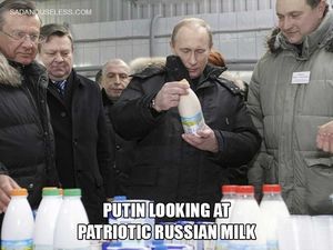 60 лучших снимков из серии «Путин смотрит на что-то»