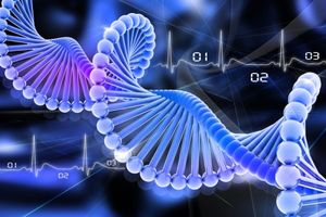 Ученые: Человеческая ДНК связана с переселением людей из Африки сотни тысяч лет назад