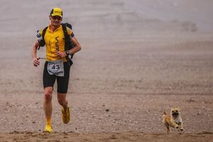 Бродячая собака поучаствовала в марафоне (4 фото)