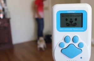 Видео: Устройства, с помощью которых можно разговаривать с собаками