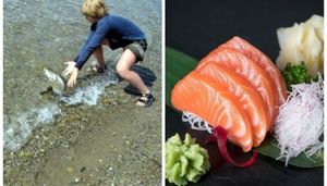 Ученики японских школ выращивают рыбу, а потом решают, съесть ее или выпустить в океан