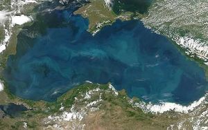 Чем на самом деле опасно Черное море