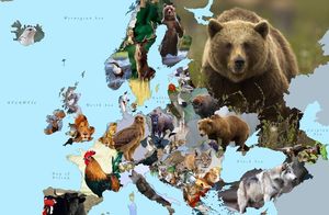От медведя до божьей коровки: 50 животных, которые являются символами разных стран