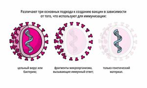 5 технологий производства вакцин простым языком с примерами