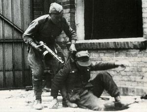 Каких пленных солдат Гитлера красноармейцы сразу расстреливали