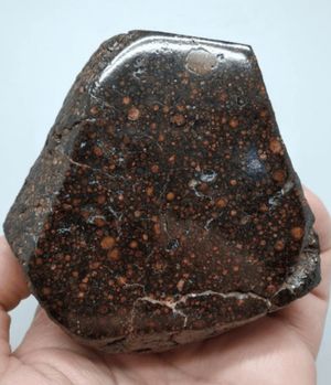 В следе, оставленном подковой, ученые нашли кусок метеорита возрастом 4,6 млрд лет