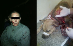 В Запорожье задержан мужчина, который напал на собаку с целью выпить ее кровь