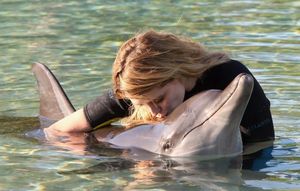 Индия признала дельфинов личностями и запретила дельфинарии