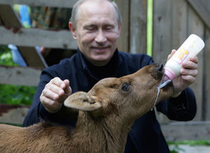 Самые яркие и запоминающиеся фото Путина с животными!