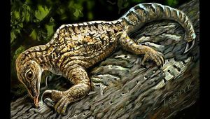 Палеонтологи восстановили внешность загадочного доисторического существа