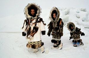 Что представляют собой арктические пустыни России, и как там живут люди