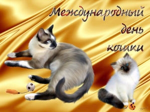 8 августа - Всемирный день кошек.