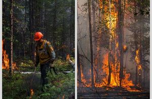 11 сильных снимков, как в Якутии борются с огнем