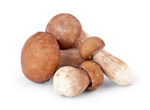 Белые грибы в сметане – самый вкусный и простой рецепт