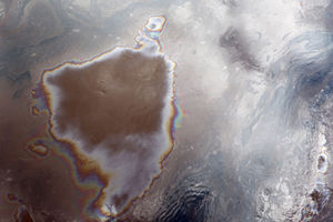 Ученые заявили о поразившем Байкал загрязнении