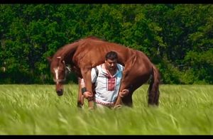 Видео: Дмитрий Халаджи — самый сильный человек планеты, поднимающий быка весом 600 кг