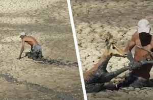 Видео: Мужчина изо всех сил вытягивает импалу из непроходимой ловушки