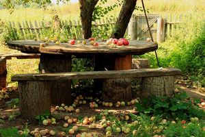 Прозрачное варенье из летних яблок "Янтарное"