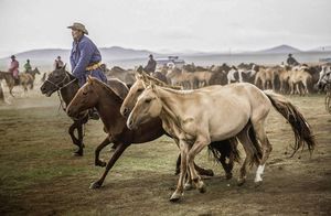 Как выглядит секретный поселок в Монголии, в котором живет лишь одна семья пастухов