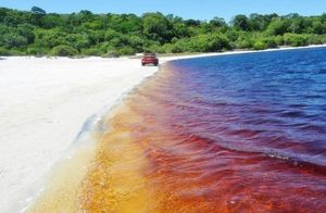 Как выглядит озеро из кока-колы, которое привлекает туристов со всего мира