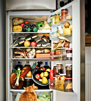10 способов раз и навсегда навести порядок в холодильнике: всё по полочкам!