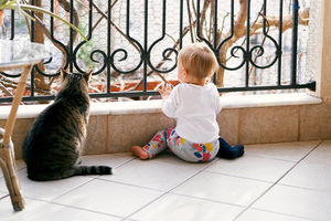 Обошлось без трагедии: ребенок пытался вылезти с балкона, но вмешался кот