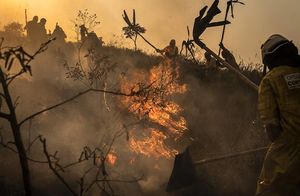 Фото дня: пожар в бразильском парке, вызванный китайским фонариком
