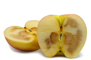 Мякоть яблок буреет в период хранения: почему так происходит