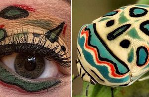 16 фото от визажиста, который воплощает в макияже глаз удивительную красоту насекомых