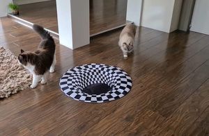 Видео: Коты против оптической иллюзии на полу
