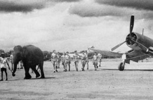 Невероятные редкие снимки, доказывающие, что слоны участвовали в войнах