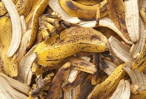 Как сделать удобрение из банановой кожуры для комнатных растений?