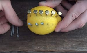 Как развести костер с помощью лимона: оригинальное решение для отдыха на природе