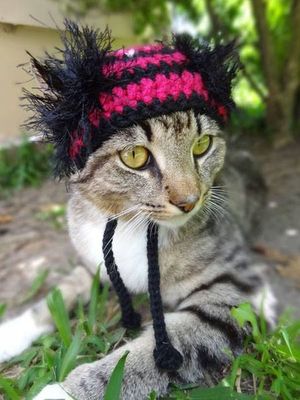 Вязаные шапочки для котиков