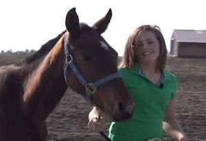 Девушка спасла умирающую на дороге лошадь