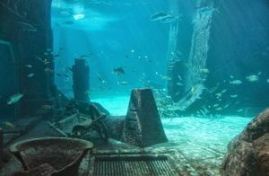 Видео: Подводные руины — исследователи считают, что нашли Атлантиду