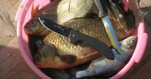 Как почистить рыбу от чешуи: 7 способов