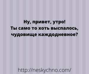 Веселые анекдоты для настроения: начинаем день правильно