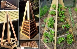 20 идей вертикального озеленения не только на дачном участке, но и на балконе