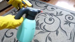 Как легко избавить ковры от шерсти питомца в доме
