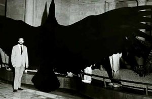 Как выглядел аргентавис — крупнейшая летающая птица за всю историю