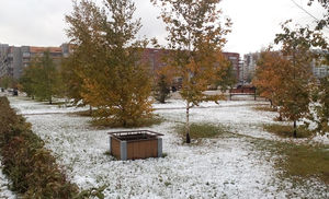 Первый снег в Красноярске