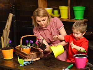 Грядка юного ботаника – 7 растений, которые можно вырастить вместе с детьми